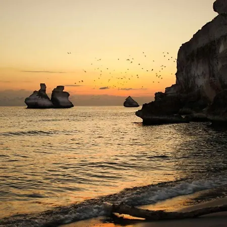 Couette-café Putignani 181