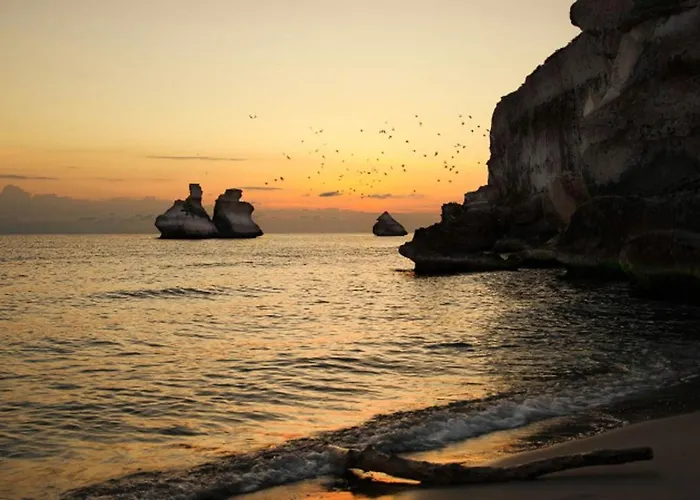住宿加早餐酒店 Putignani 181